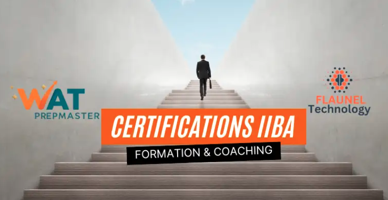 Formation IIBA Flaunel